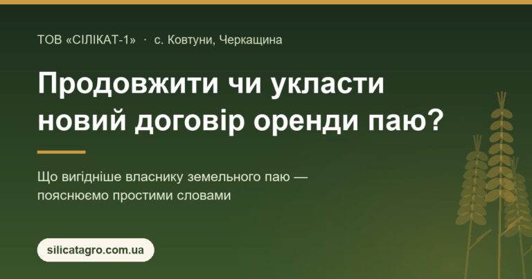 Колоски пшениці та напис «Продовжити чи укласти новий договір оренди паю» — пояснення ТОВ «Сілікат-1» для власників земельних паїв